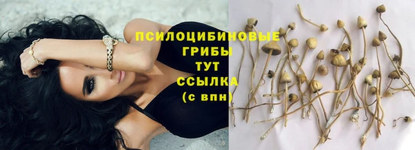 дурь Алзамай