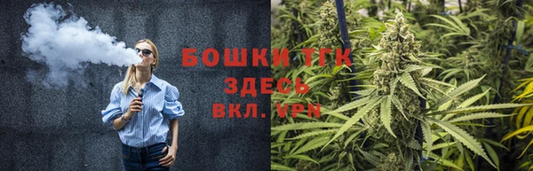 дурь Алзамай