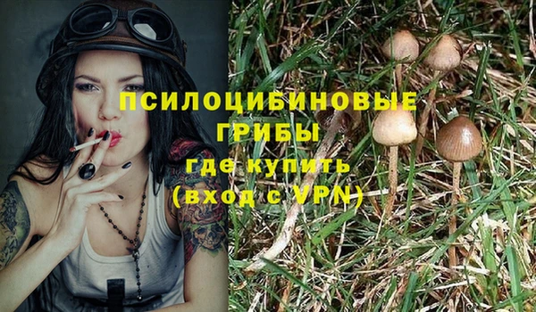 крисы Алексеевка